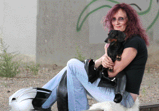 Susan Waters Illustrator - Contact